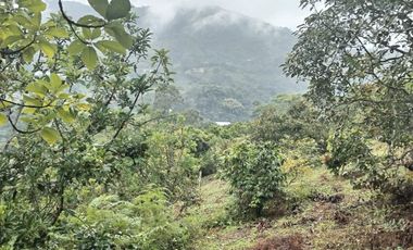 Hermosa finca en venta ubicada en Sasaima