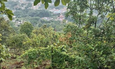 Hermosa finca en venta ubicada en Sasaima