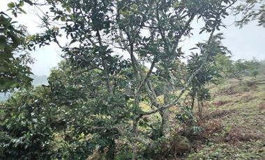 Hermosa finca en venta ubicada en Sasaima