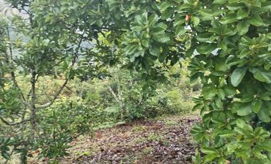 Hermosa finca en venta ubicada en Sasaima