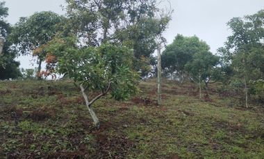 Hermosa finca en venta ubicada en Sasaima