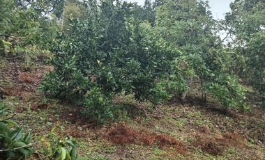Hermosa finca en venta ubicada en Sasaima