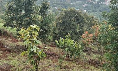 Hermosa finca en venta ubicada en Sasaima