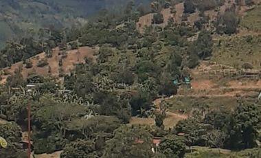 Hermosa finca en venta ubicada en Sasaima