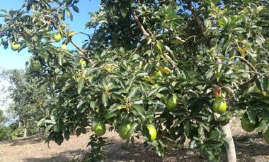 Hermosa finca en venta ubicada en Sasaima