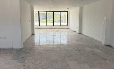 Edificio en Renta en Blvd. Madero BR1