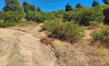 VENDE 1,95 HAS. SECTOR NININCO, ANGOL