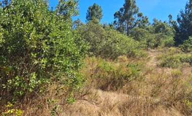 VENDE 1,95 HAS. SECTOR NININCO, ANGOL