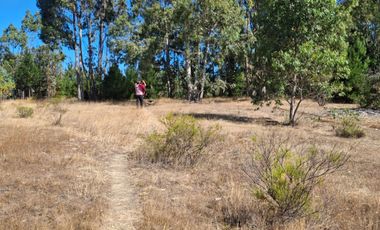 VENDE 1,95 HAS. SECTOR NININCO, ANGOL