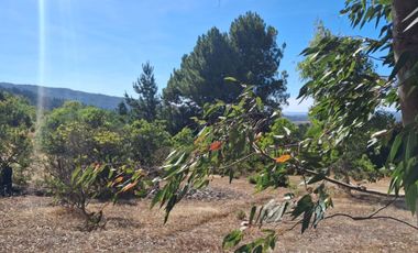 VENDE 1,95 HAS. SECTOR NININCO, ANGOL