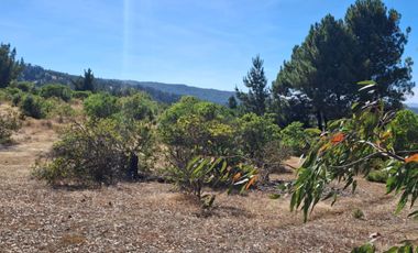 VENDE 1,95 HAS. SECTOR NININCO, ANGOL