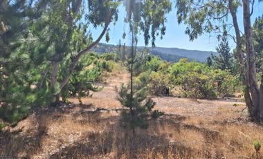 VENDE 1,95 HAS. SECTOR NININCO, ANGOL