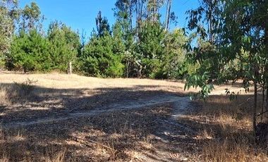 VENDE 1,95 HAS. SECTOR NININCO, ANGOL