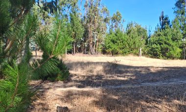 VENDE 1,95 HAS. SECTOR NININCO, ANGOL