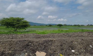 Terreno de venta en Samborondón