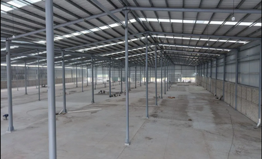 BODEGAS EN RENTA EN PARQUE INDUSTRIAL OASIS | ARLETTE FLORES