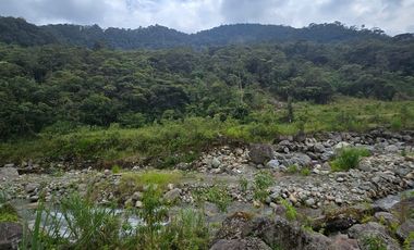 TEREENO EN RIO NEGRO