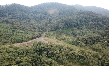 TEREENO EN RIO NEGRO