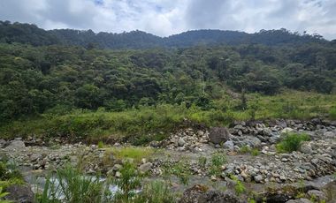 TEREENO EN RIO NEGRO