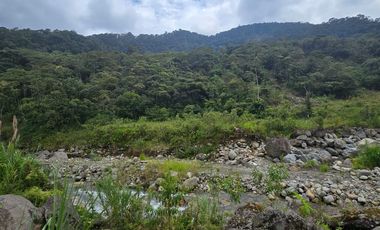TEREENO EN RIO NEGRO