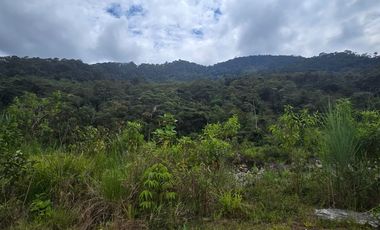 TEREENO EN RIO NEGRO