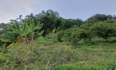 Vendo finca via la Florida La Bananera