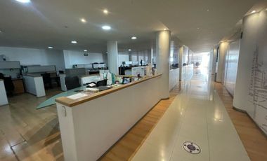 Propiedad en Venta San Pedro de Los Pinos 3,700 m²