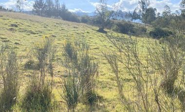Excelente inversión, terreno en venta 5.200m2 IPRUS lote mínimo 500m2 sector Chuquipata