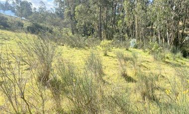 Excelente inversión, terreno en venta 5.200m2 IPRUS lote mínimo 500m2 sector Chuquipata