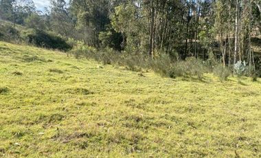 Excelente inversión, terreno en venta 5.200m2 IPRUS lote mínimo 500m2 sector Chuquipata