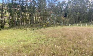 Excelente inversión, terreno en venta 5.200m2 IPRUS lote mínimo 500m2 sector Chuquipata