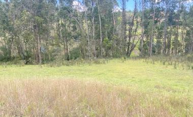 Excelente inversión, terreno en venta 5.200m2 IPRUS lote mínimo 500m2 sector Chuquipata