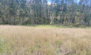 Excelente inversión, terreno en venta 5.200m2 IPRUS lote mínimo 500m2 sector Chuquipata