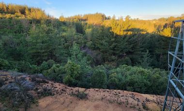 Los Pinos con pozo propio