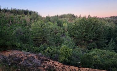 Los Pinos con pozo propio