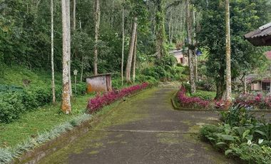 Villa Puncak Dijual Dekat Istana Negara Cipanas