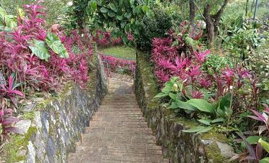 Villa Puncak Dijual Dekat Istana Negara Cipanas