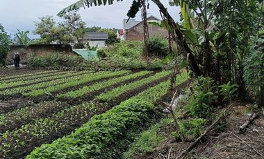 Rumah Dekat Kawasan  Kampus Jatinangor Sumedang