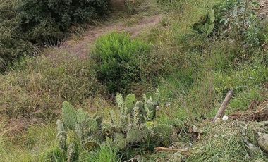 TERRENO CAMPIRANO EN TEPOTZOTLAN EDO DE MEX BELLOS PAISAJES MUY BIEN UBICADO