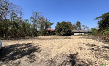 A Nice plot of Land for sale in San Kamphaeng