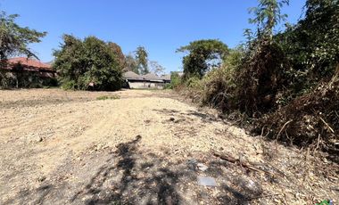 A Nice plot of Land for sale in San Kamphaeng