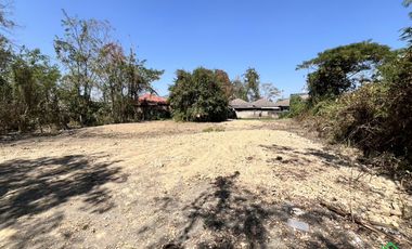 A Nice plot of Land for sale in San Kamphaeng
