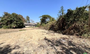 A Nice plot of Land for sale in San Kamphaeng