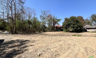 A Nice plot of Land for sale in San Kamphaeng