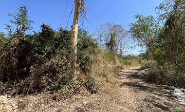A Nice plot of Land for sale in San Kamphaeng
