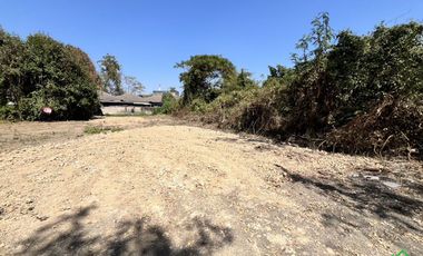 A Nice plot of Land for sale in San Kamphaeng