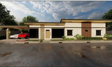 NEW CONSTRUCTION HOME FOR SALE IN ZAMBOANGUITA‼️