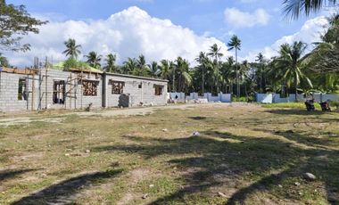 NEW CONSTRUCTION HOME FOR SALE IN ZAMBOANGUITA‼️