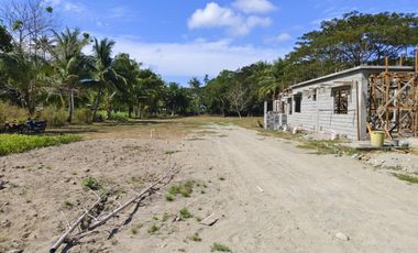 NEW CONSTRUCTION HOME FOR SALE IN ZAMBOANGUITA‼️