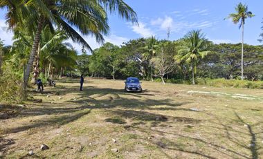 NEW CONSTRUCTION HOME FOR SALE IN ZAMBOANGUITA‼️